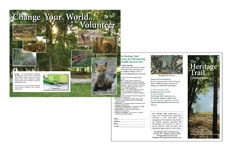 brochure